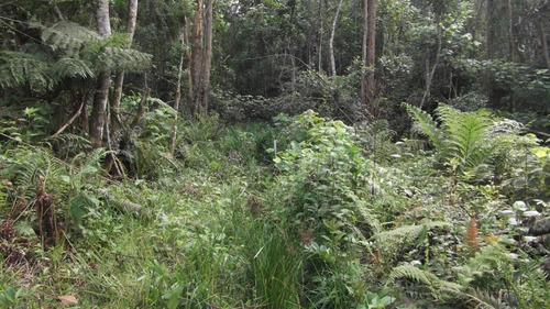Terreno Em Chácara Recanto Verde, Cotia/sp De 0m² À Venda Por R$ 250.000,00 - Te751436