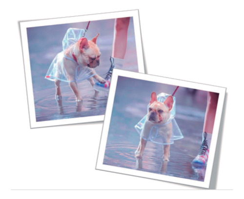 Molderia Digital De Piloto Para Lluvia Para Perros Xs Al Xxl