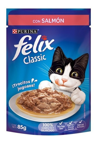 Sachet Felix Sensacion Salmón Salsa 15 Un. Santiago