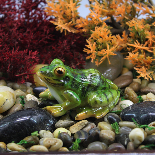 Estatua De Paisaje De Rana Sapo Sapos Anfibios Ranas