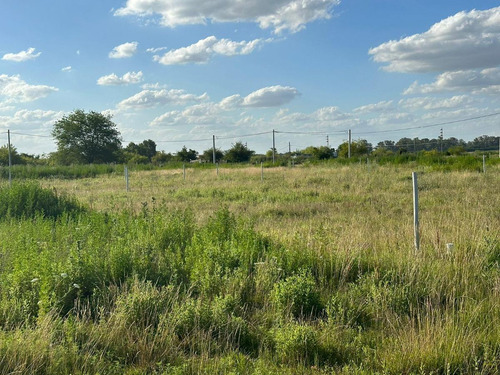 Terrenos En Venta - 300mts2 - Carmen De Areco