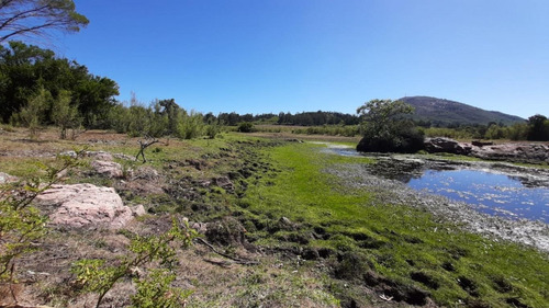 Chacra A 25km De Punta Del Este Y 10 Km De Piriápolis