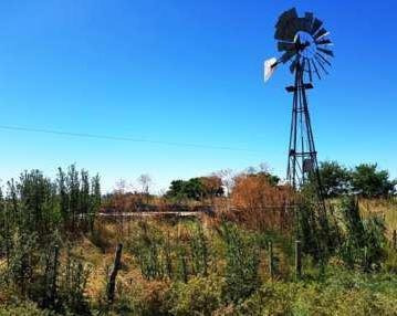 Imagen 5 de 5 de Campo Ganadero De 153 Has A La Venta En Navarro