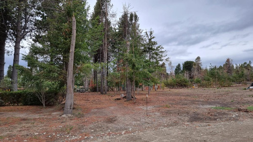 Terreno En Venta Con Acceso A Costa De Lago. B° Villa De Miguel. Dina Huapi.