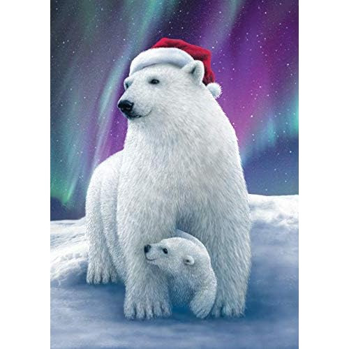 **caja De Tarjetas De Navidad De Abrazos De Osos Polare...
