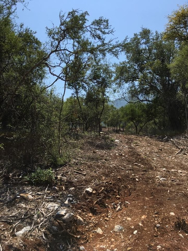 Imagen 6 de 11 de Campestre