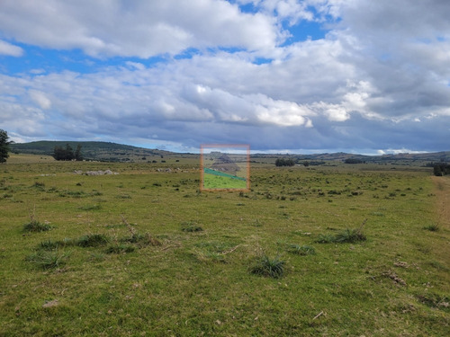 Imagen 4 de 25 de 20has De Campo Sobre Ruta 12 Pueblo Edén