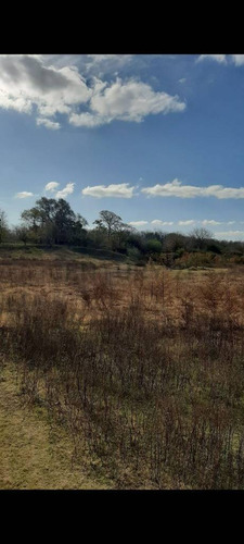 Campo Ganadero En Carcaraña. Con Quincho Y Casa