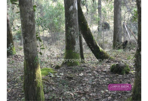Imagen 3 de 6 de Las Balsas - Lote De 1.967 M2 En Ph Fei Curam (cod. L24)