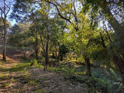 Imagem 15 de 29 de Imóvel Rural Para Área De Saúde Ou Hotelaria Com 1870m2, 12mil M2 De Área Total, 21 Suítes, Restaurante, Piscina, Quiosque - Ch00215 - 70653501