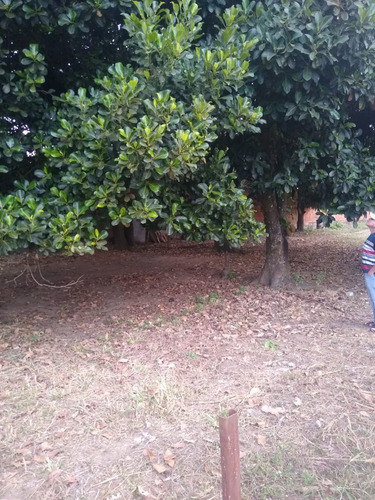 Imagem 10 de 14 de Vendo Linda Chácara Em Águas Lindas