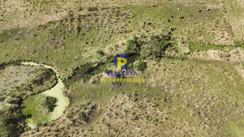 3 Hectáreas En Migues Con Aguada Y Linda Vista