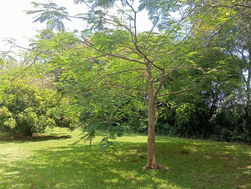 Sitio - Pereiras/sp - 12.000 Mil Metros - R$ 400.000,00
