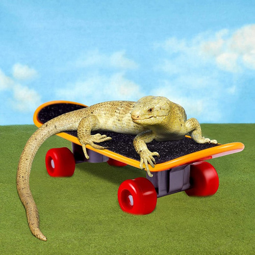 Juego De 3 Patinetas Con Casco Para Mascotas Más Vendido, Pe