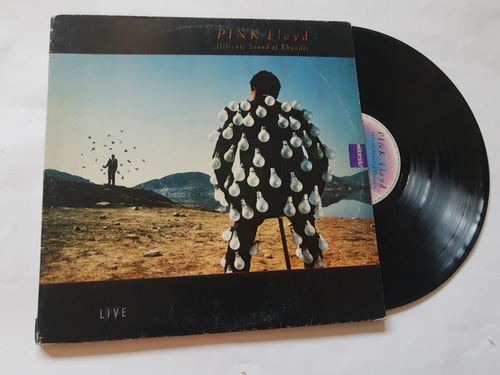 Pink Floyd - Delicate Sound Of Thunder Duplo