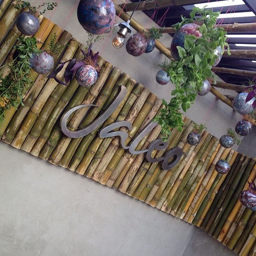 Jardines Verticales Barquisimeto