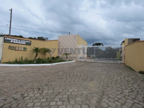 Chacara - Campina - Ref: 1799 - V-1799