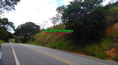 Imagem 7 de 10 de Chácara Com Escritura E Nascente Em Natividade Da Serra - 2201