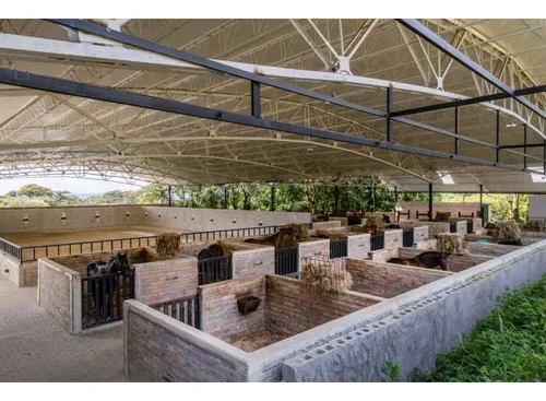 Finca Cria De Caballos X Venta En El Canadá El Carmen De Viboral