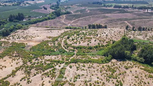 Agrícola En Arriendo A Largo Plazo En Pelarco