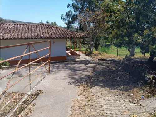 Vendo Finca Carolina Del Príncipe 11 Hectáreas