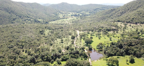 Imagem 14 de 14 de Fazenda - Jaranapolis- 52 Alqueires - Infraestrutura Complet - 16