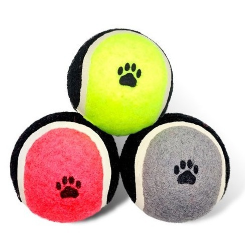 Pelota Tenis Perro