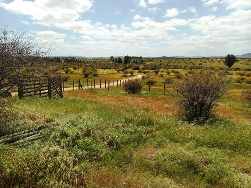 Vendo Por Viaje Joyita De Marchihue 6° Región -2 Pozos Agua