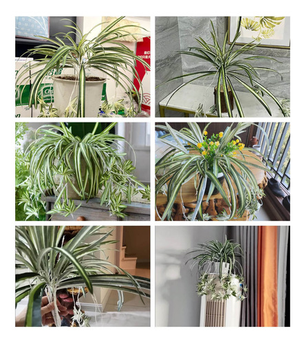 Planta Araña Artificial S 8002 De 23,6 Pulgadas, 1 Pieza