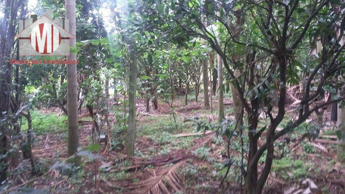 Imagem 27 de 29 de Excelente Chácara Com 03 Dormitórios, Pertinho Da Cidade, Pomar, Ótima Casa À Venda, 1000 M² Por R$ 320.000 - Zona Rural - Pinhalzinho/sp - Ch0069