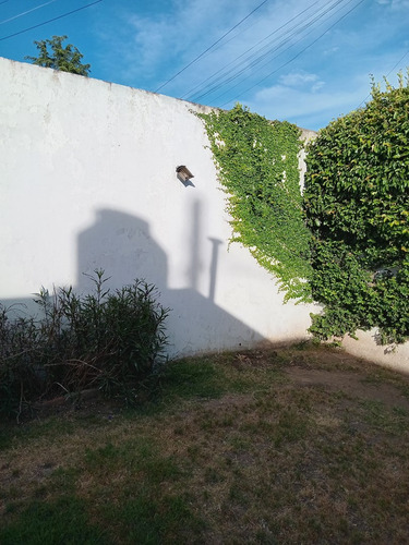 Oportunidad Casa En Venta En Muñiz, San Miguel, G.b.a. Zona Norte