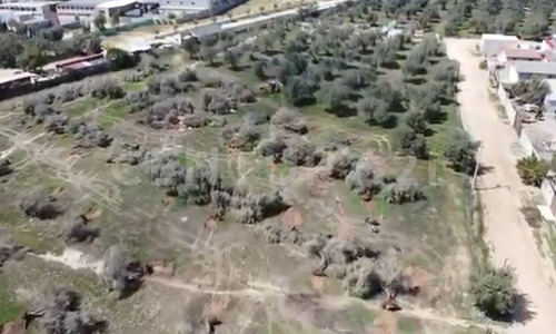 Los Olivos - Preventa De Terrenos Con Vista Al Mar En Ensenada
