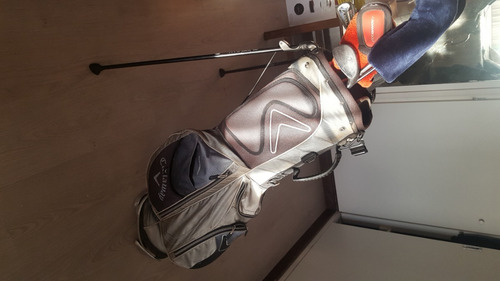 Bolsa De Golf