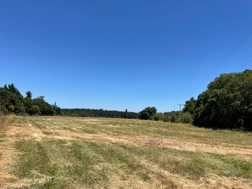 Imagen 10 de 10 de Parcela En Yumbel De 15.000m2