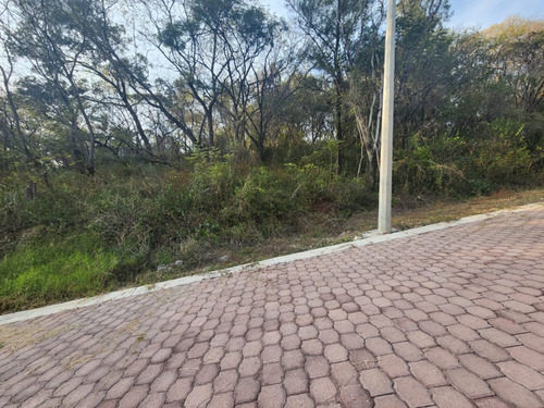 Venta Lote Gladiola 37 Con Vistas Panorámicas, Proyecto Incluído Y Todos Los Servicios Cerca De Las Amenidades De Fracc Rancho San Diego Ixtapan De La Sal Edomex