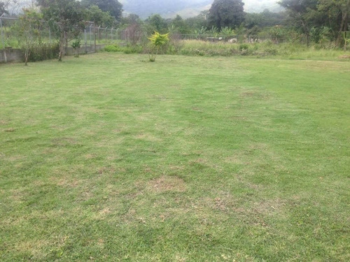 Imagen 5 de 6 de Se Vende Parcela En Montalban Aguirre Sd--748
