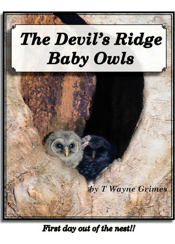 The Devil's Ridge Baby Owls : First Day Out Of The Nest!, De T Wayne Grimes. Editorial Createspace Independent Publishing Platform, Tapa Blanda En Inglés