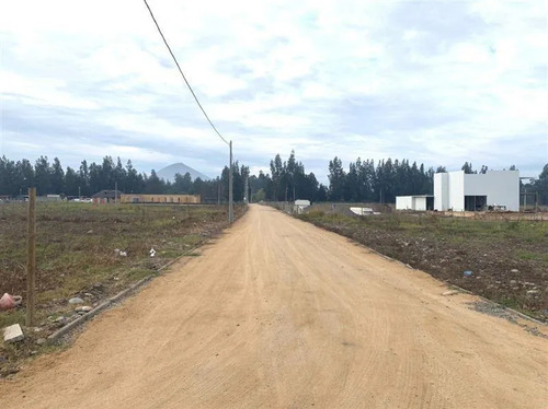 Venta De Parcelas De 5000 M2 Mejor Plusvalia En Talagante