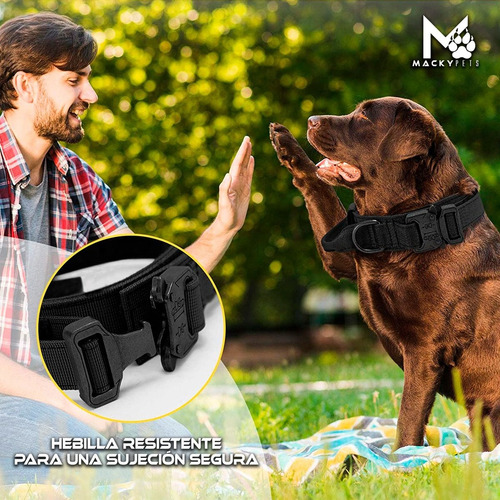 Imagen 4 de 5 de Colla Para Mascotas Táctica Talla Xl Mackypets Importadas
