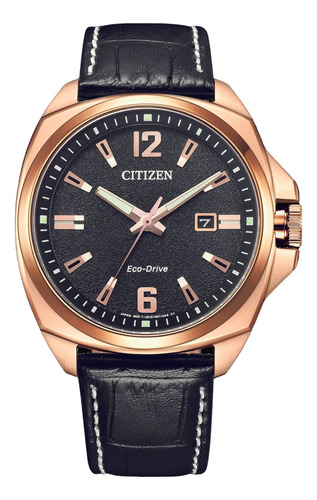 Citizen Endicott Aw1723-02e