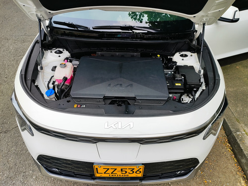 Kia Niro 0.0 Ev Zenith