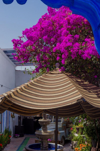 Casona En Venta Para Hotel Centro De Queretaro Chv240404-ae