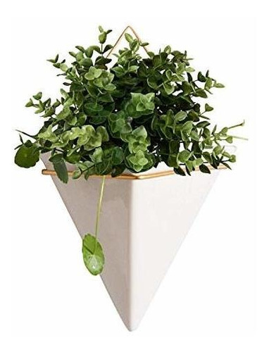 La Maceta Colgante Florero Pared Plantador Recipiente D...