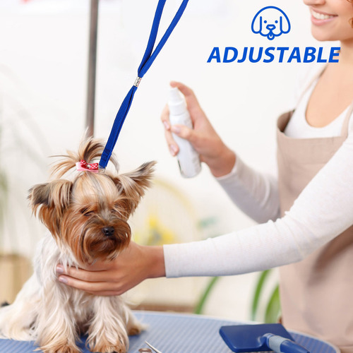 Cuerda De Seguridad Para Perros Y Gatos, Anillo De Aseo Para