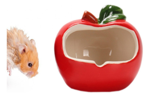 Hamster House Lindo Nido Cave Pequeño Animal Apelación