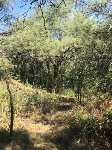 Excelentes Lotes De 1 Ha Y 1 1/2ha Escriturados En Las Tapias, Traslasierra,cordoba