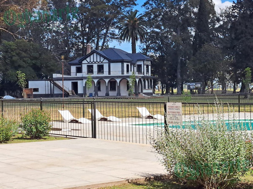 Imagen 7 de 18 de Oferta - Venta Lote En Tres Pinos - Gral. Rodriguez.