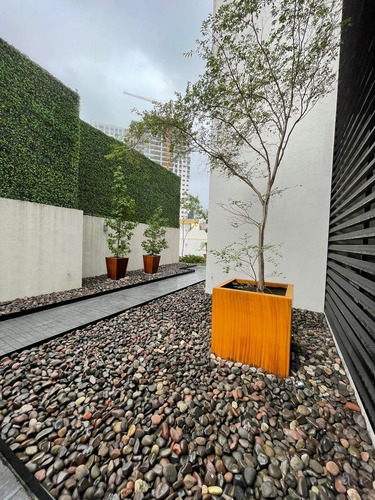 Imagen 6 de 26 de Departamento En Venta En Punto Dos En Plaza Del Sol.