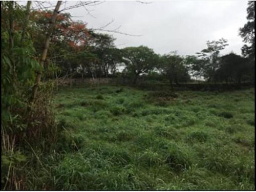 Imagen 2 de 3 de Terreno En Venta El Jobo