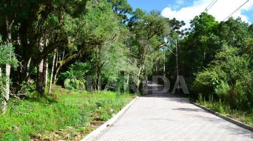 Imagem 4 de 10 de Terreno - Caracol - Ref: 132886 - V-132886